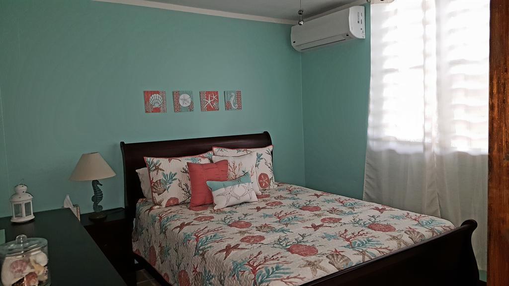 Fully Air-Conditioned Beach Front Penthouse Apartment Naguabo Extérieur photo